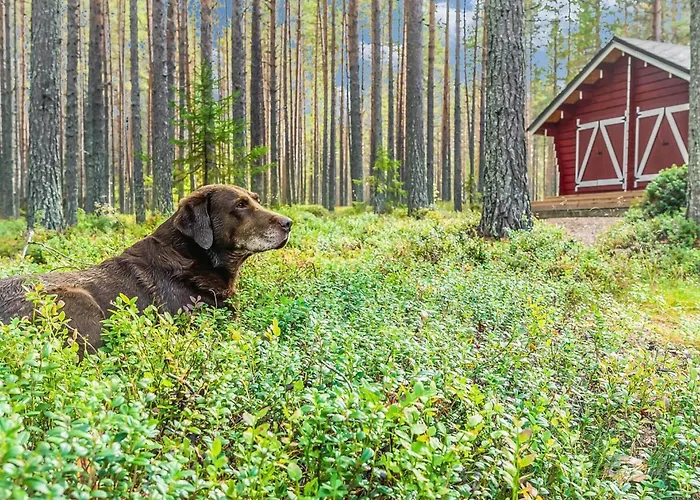 Piilola By Interhome Loma-asunnot *